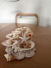 Load image into Gallery viewer, Handmade Mermaid Bath Seashell Jewelry Holder