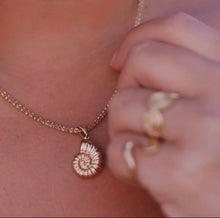 Load image into Gallery viewer, Conch Shell Necklace