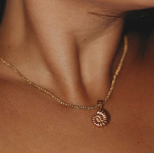 Load image into Gallery viewer, Conch Shell Necklace