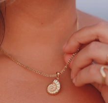Load image into Gallery viewer, Conch Shell Necklace