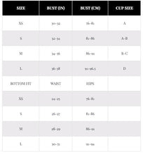 Load image into Gallery viewer, Blue Striped Gold Bikini