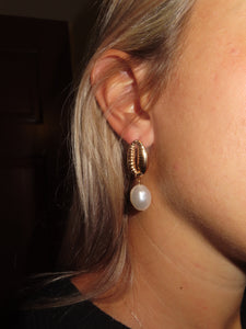 Shell Earrings