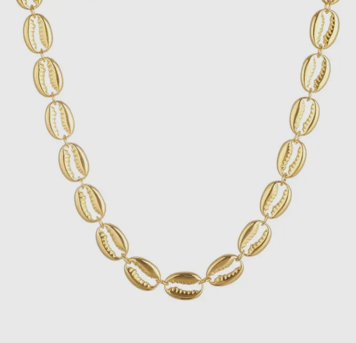 Juniber Shell Golden Cowrie Shell Necklace – Juniper