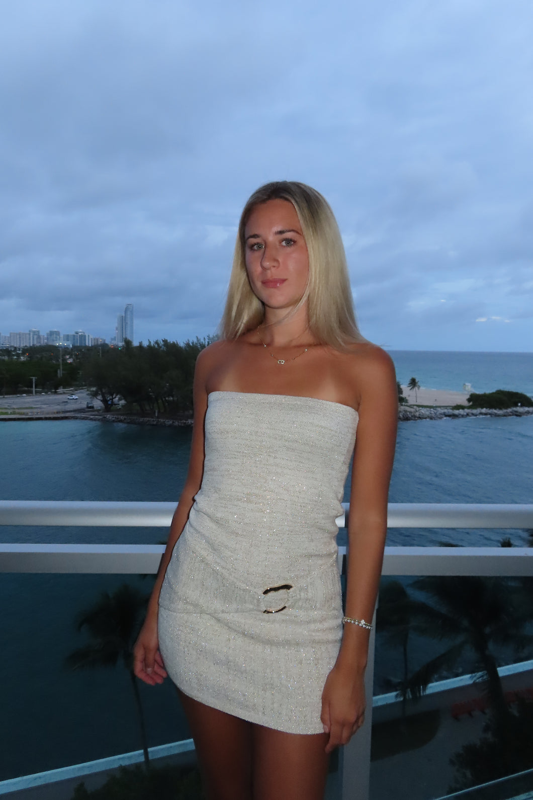 Champagne Nights Mini Dress