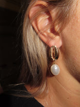 Load image into Gallery viewer, Shell Earrings
