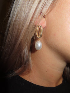 Shell Earrings