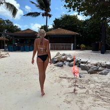 Load image into Gallery viewer, Amalfi Bikini Set - Juniper
