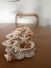 Load image into Gallery viewer, Handmade Mermaid Bath Seashell Jewelry Holder - Juniper
